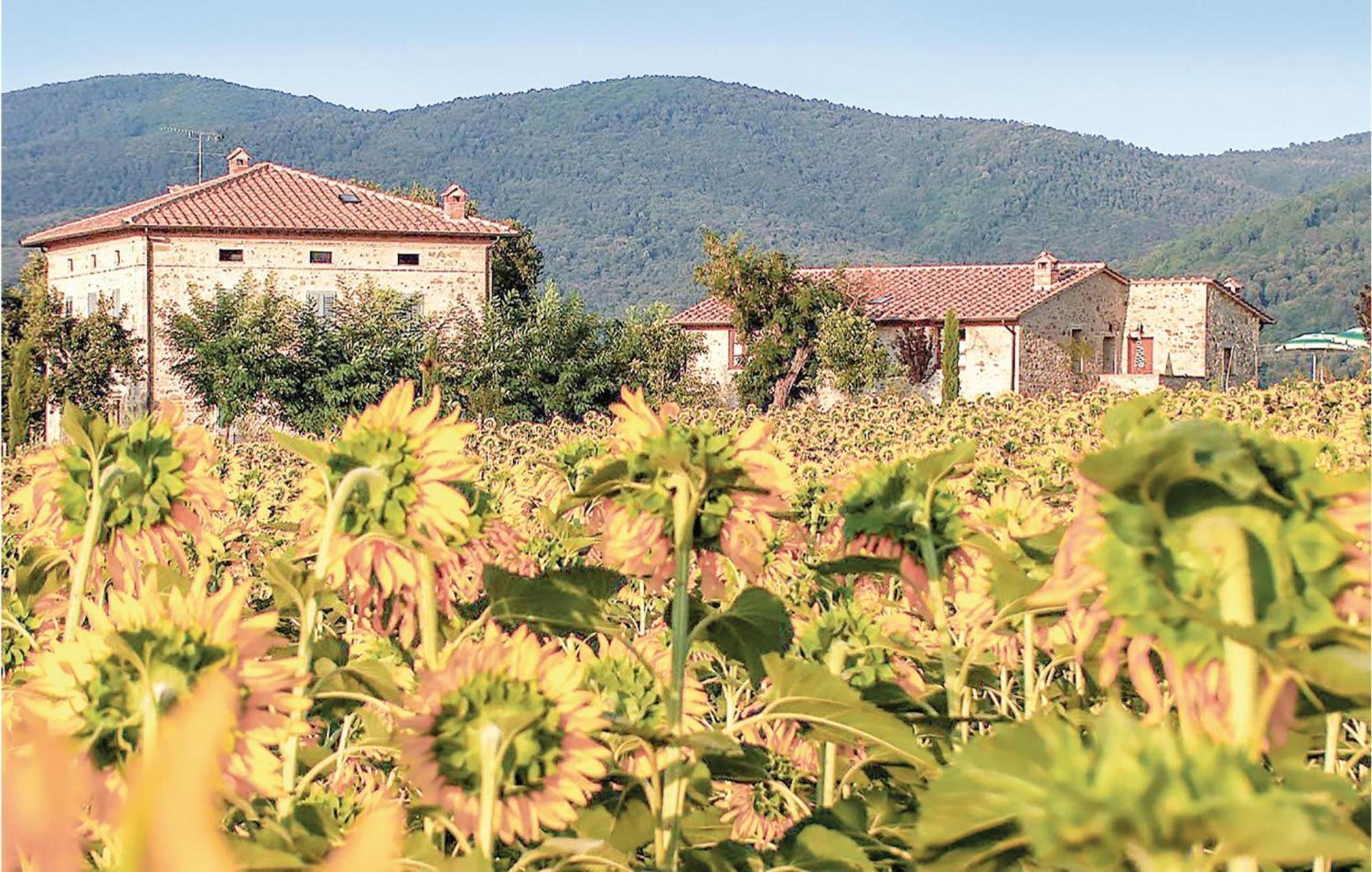 Tulipano Pievescola Exterior foto
